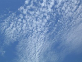 CirroCumulus.jpg